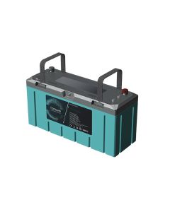 Lithium Batteri: LiFePO4 24V 100Ah T-Premium 100A BMS