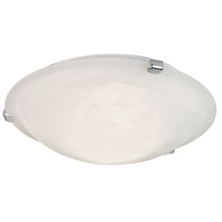 12V & 230V Petri plafond