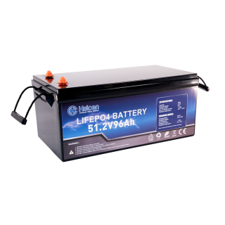 Lithium Batteri: LiFePO4 48V 4,9kWh