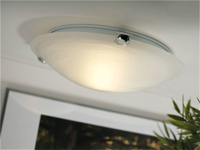 petri plafond stor